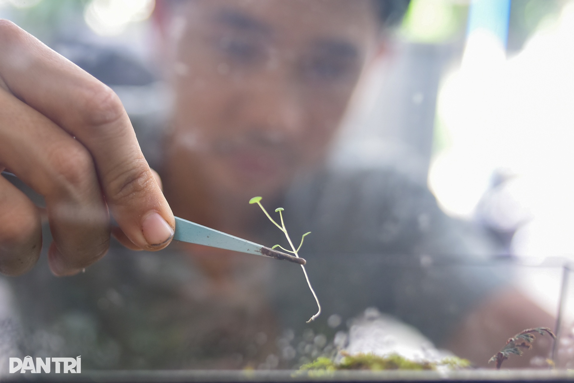 Chàng trai mang cả khu rừng nhiệt đới vào bình thủy tinh - 3 Chàng trai mang cả khu rừng nhiệt đới vào bình thủy tinh - 3