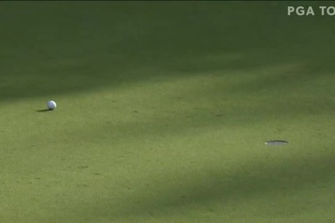 Phil Mickelson vô địch giải golf Dominion Energy