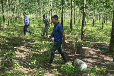 Mâu thuẫn do cạo mủ cao su, hai anh em đánh nhau thương vong