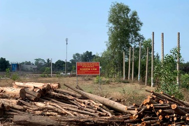 Hàng trăm hecta đất cấm bị "xẻ thịt": Điểm danh hàng loạt “ông trùm”!