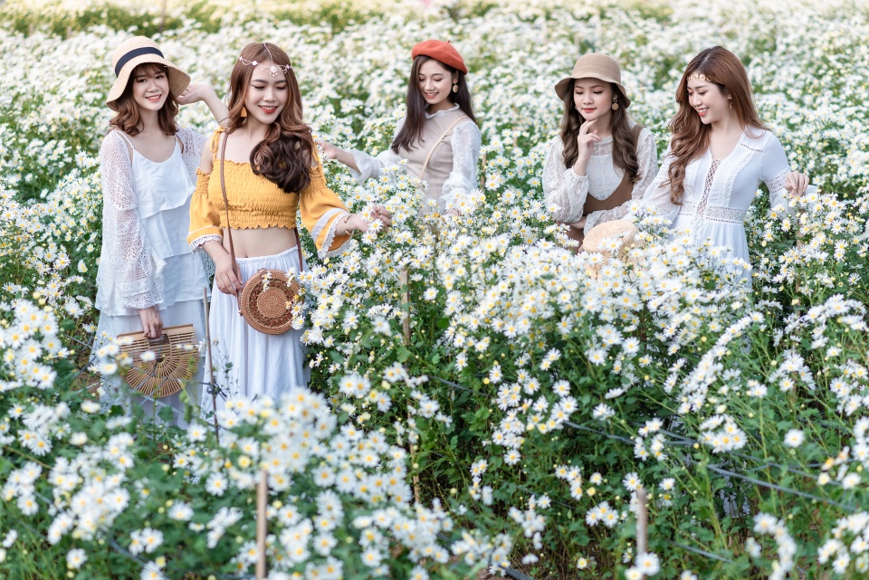 Thiếu nữ Hà thành duyên dáng bên cúc hoạ mi đầu mùa - 1 Thiếu nữ Hà thành duyên dáng bên cúc hoạ mi đầu mùa - 1