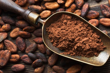 Những lợi ích bất ngờ của cacao đối với sức khỏe