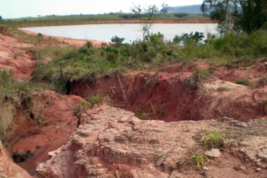 Mưa lớn bất ngờ để lộ hóa thạch "quái thú" niên đại 233 triệu năm