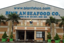 Bianfishco lại thua kiện tiền tỷ