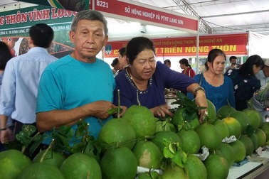 Lần đầu tiên tổ chức Hội chợ thực phẩm sạch phục vụ Tết