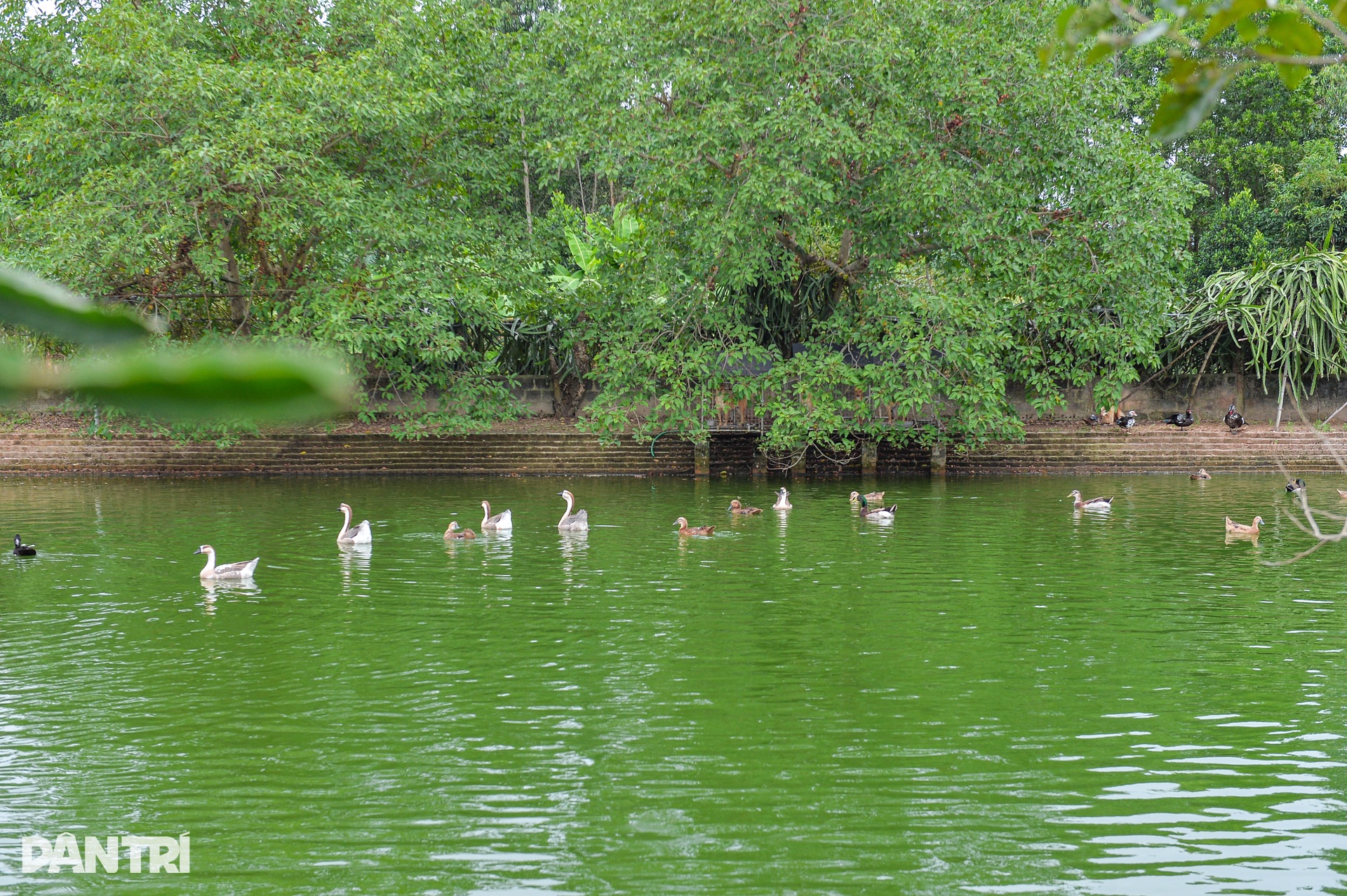 Chiêm ngưỡng cơ ngơi tiền tỷ của đôi vợ chồng người dân tộc Sán Dìu - 10 Chiêm ngưỡng cơ ngơi tiền tỷ của đôi vợ chồng người dân tộc Sán Dìu - 10