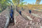 Xác minh thông tin mộ liệt sỹ tập thể tại Kon Tum