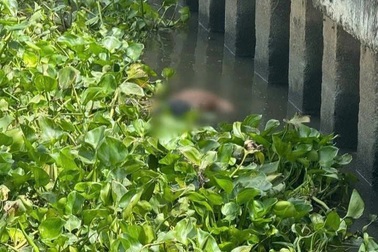 Thi thể nam giới lẫn trong đám lục bình, nổi trên sông Sài Gòn ở TPHCM