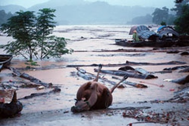 Giới trẻ chung tay vì miền Trung ruột thịt