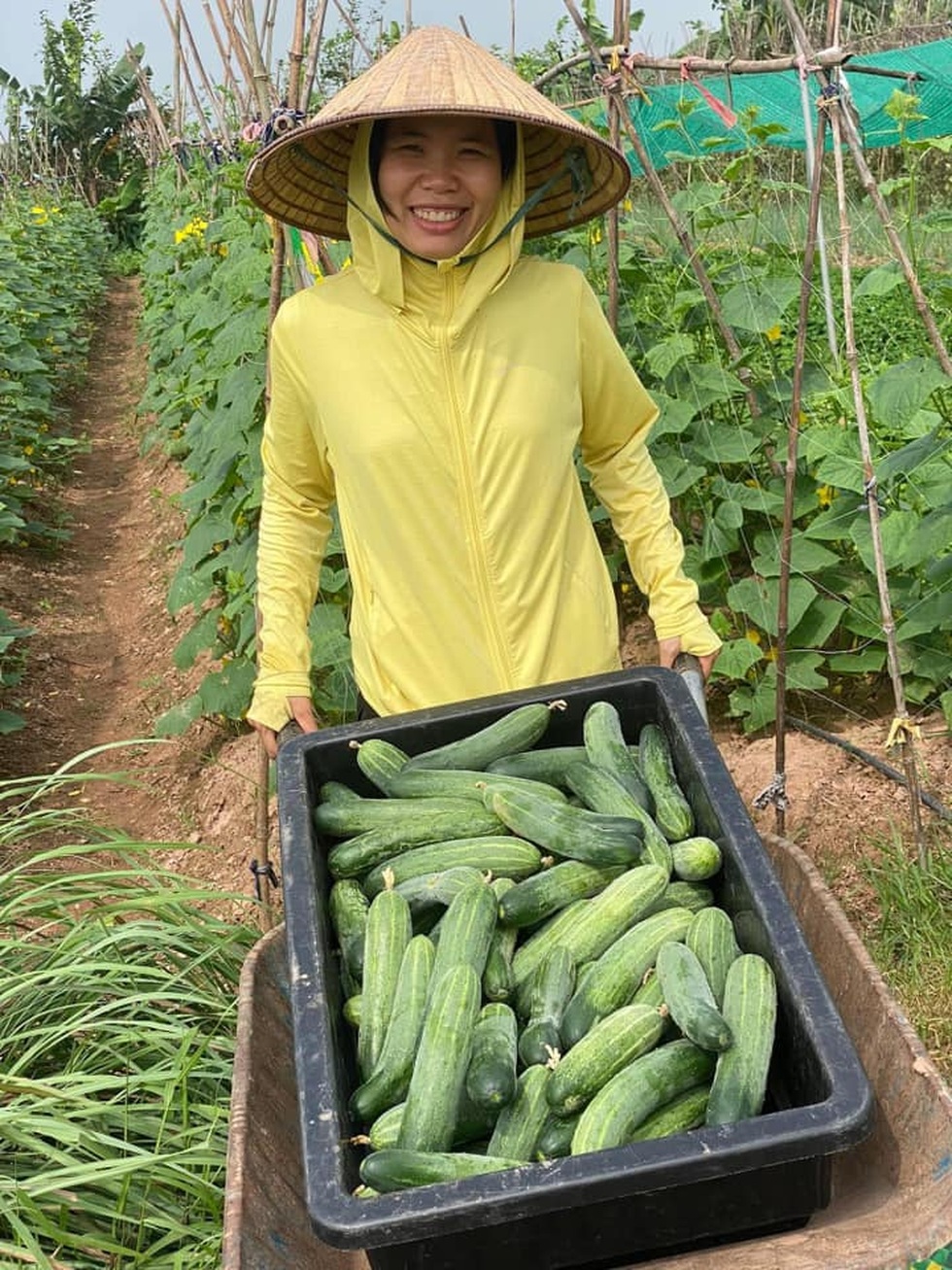 Vợ chồng tiến sỹ về quê làm nông dân, bán 5 tấn nông sản/tháng - 14