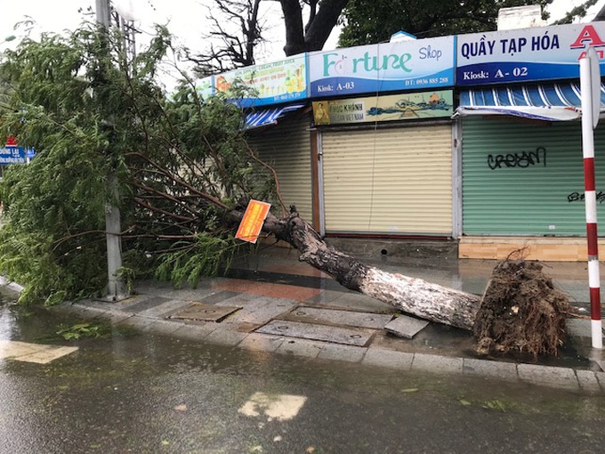 TP.Nha Trang-Khánh Hòa: Ra quân khắc phục hậu quả bão số 12  - Ảnh 1.