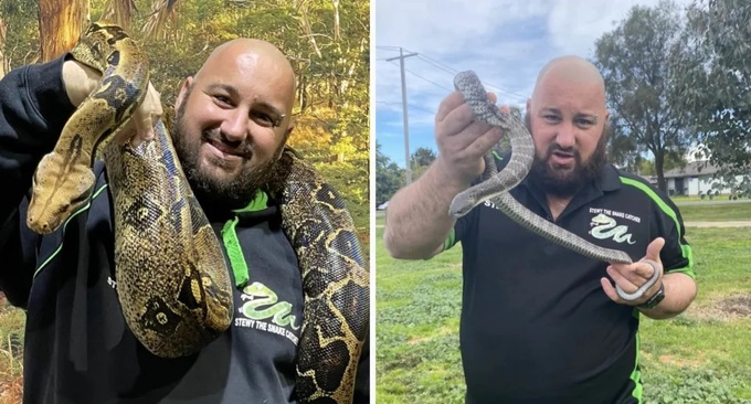 El cazador de serpientes Benjy tuvo que emitir una advertencia cuando descubrió que la serpiente en el clip era extremadamente venenosa (Imagen: STSC).