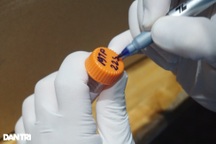 Nghệ An: Một ca dương tính SARS-CoV-2 được phát hiện qua sàng lọc cộng đồng