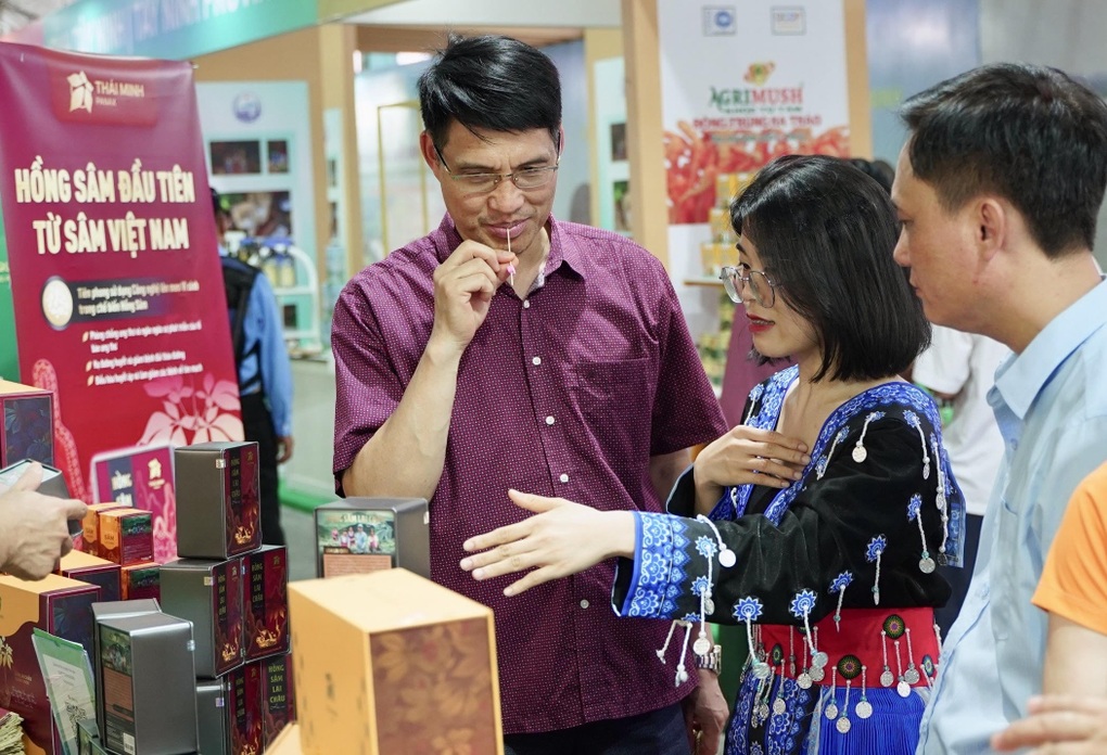 Hồng Sâm Lai Châu lần đầu tiên xuất hiện tại hội thảo khoa học quốc tế - 5 Hồng Sâm Lai Châu lần đầu tiên xuất hiện tại hội thảo khoa học quốc tế - 5