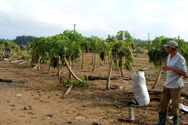 Nông dân trắng tay, mất Tết sau cơn lũ muộn