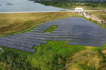 Thanh tra Chính phủ "tuýt còi" dự án điện mặt trời ở Đắk Lắk