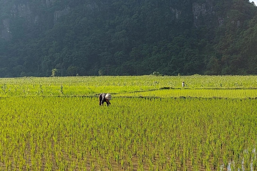 Buộc cán bộ xã trả lại tiền người dân tự nguyện hỗ trợ - 2 Buộc cán bộ xã trả lại tiền người dân tự nguyện hỗ trợ - 2