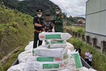 Nửa tấn ma túy được đóng bao "thức ăn cho cá", xếp đầy trên xe đầu kéo