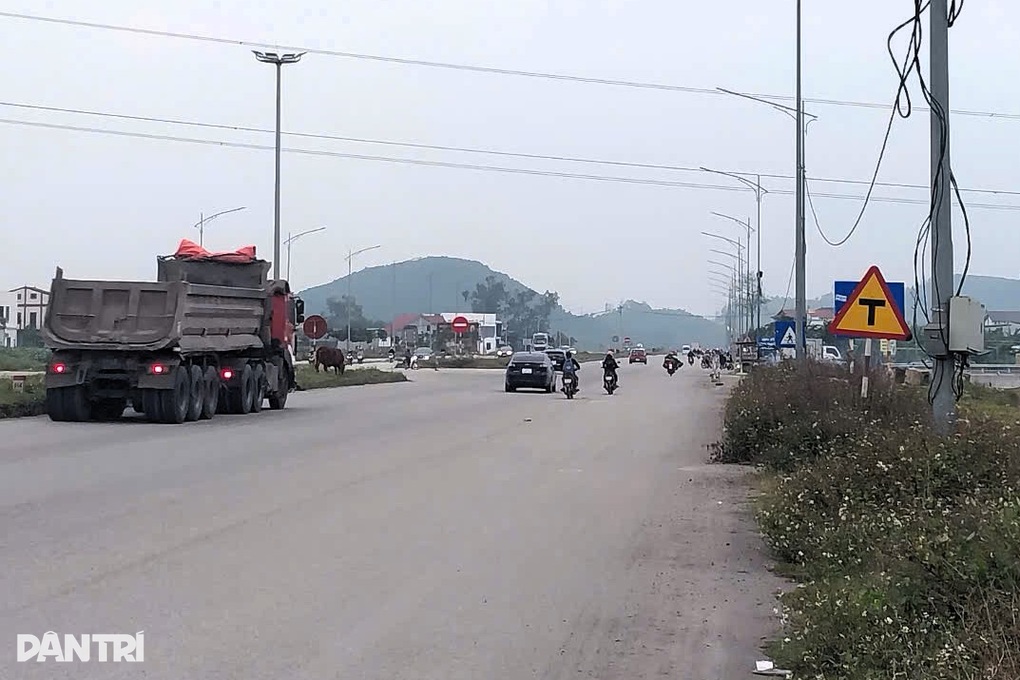 Biển báo khó quan sát, nhiều tài xế than bị phạt oan - 3