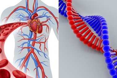 28 người trong một gia đình mắc bệnh di truyền có thể chết trước tuổi 20