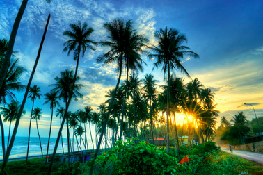 Các “tip” du lịch mùa hè “chất” mà hiệu quả