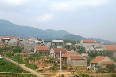 Sự sống nảy mầm từ mảnh đất cằn khô   