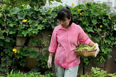 Mảnh đất bỏ hoang "lột xác" thành vườn rau xanh giữa Hà Nội
