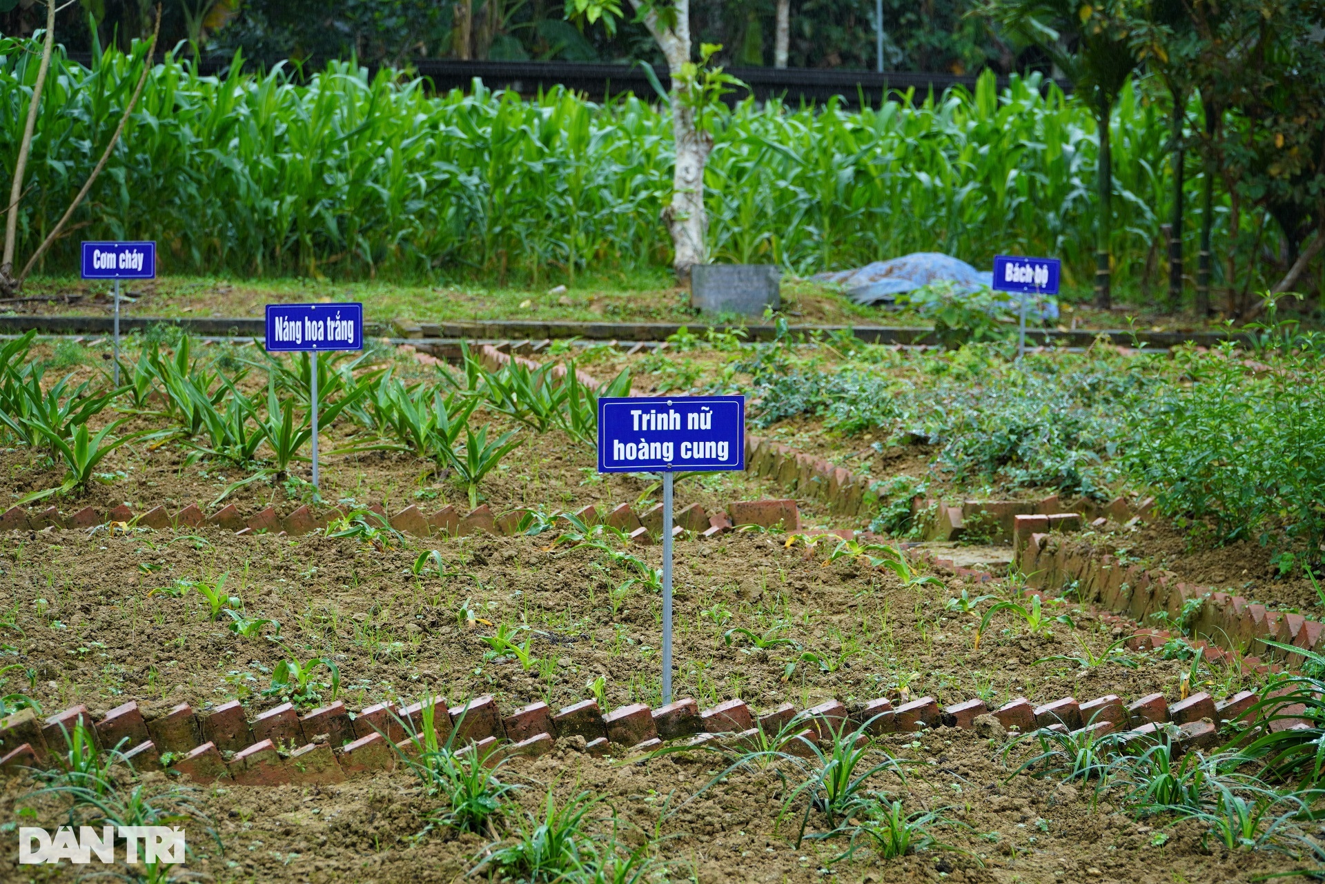 Nơi lưu giữ giá trị văn hóa - lịch sử về Đại danh y được UNESCO vinh danh - 10 Nơi lưu giữ giá trị văn hóa - lịch sử về Đại danh y được UNESCO vinh danh - 10