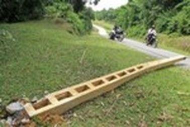 3 con voi rừng quật đổ cột điện