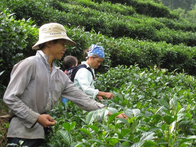 Chương trình mục tiêu quốc gia phát triển kinh tế - xã hội vùng đồng bào dân tộc thiểu số và miền núi đã mang lại hiệu quả thiết thực đối với đời sống đồng bào dân tộc