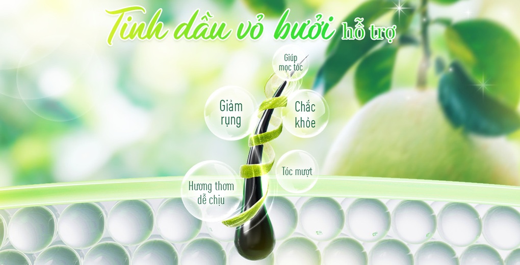 Công thức chăm sóc tóc của phụ nữ Việt xưa và nay - 1 Công thức chăm sóc tóc của phụ nữ Việt xưa và nay - 1
