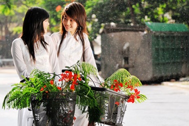 Cánh phượng hồng kỷ niệm...