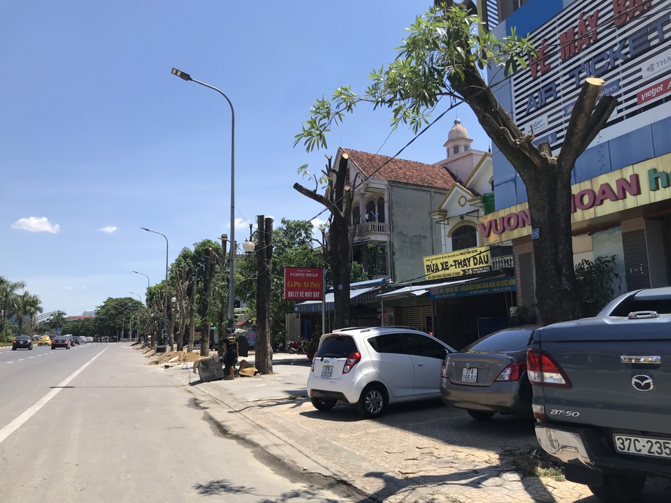 Hàng cây xanh bị cắt cụt ngọn trong những ngày nắng nóng đỉnh điểm - 9 Hàng cây xanh bị cắt cụt ngọn trong những ngày nắng nóng đỉnh điểm - 9