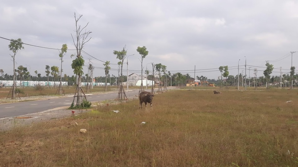 Tỉnh Quảng Ngãi có bao nhiêu dự án bất động sản? - 1 Tỉnh Quảng Ngãi có bao nhiêu dự án bất động sản? - 1