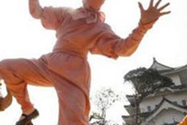 Lễ hội ninja tại Nhật Bản