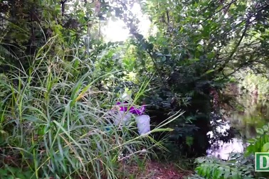 Người phụ nữ mưu sinh trong rừng ở vùng ven Sài Gòn