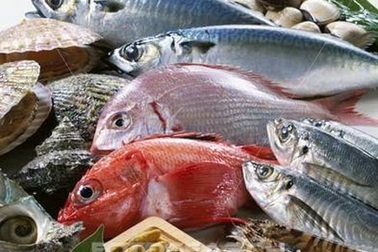 Thủy ngân trong hải sản làm tăng nguy cơ tiểu đường