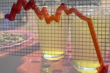 Công ty con của Vinaconex đấu giá 1 triệu cổ phần