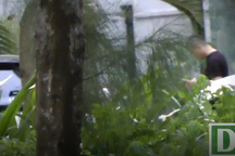 Trinh sát "bật mí" hành trình phá án ma tuý lớn nhất nước