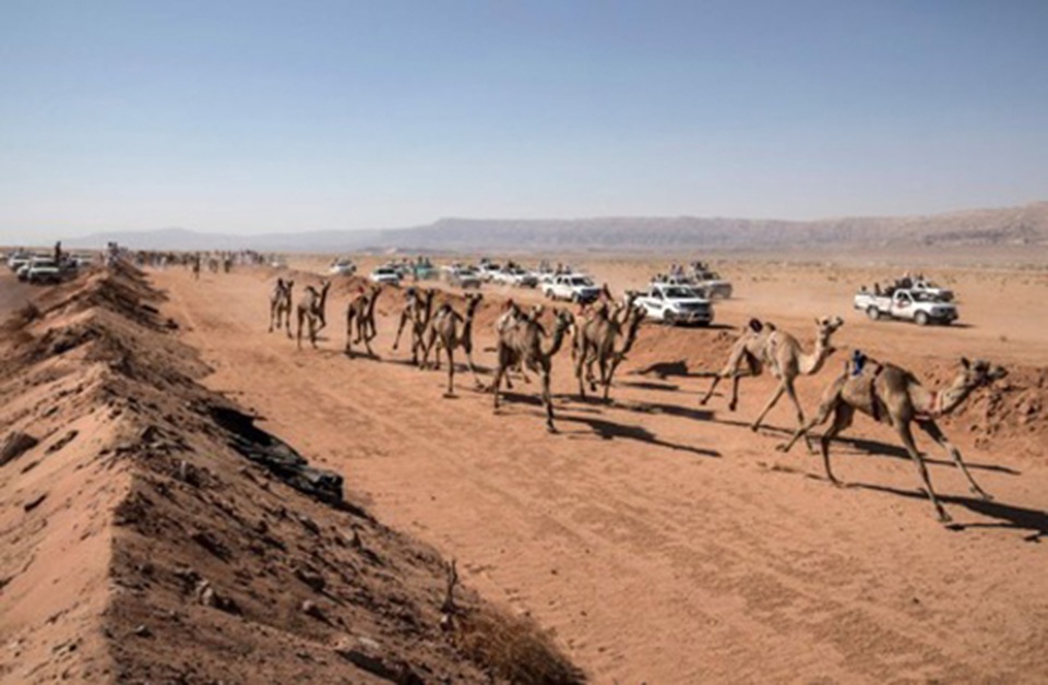 Đường đua các “chiến binh lưng gù” tại Sinai sôi động trở lại - 5