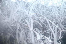 Nhiệt độ xuống -2 độ C, Hà Giang xuất hiện băng giá