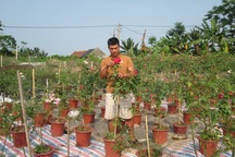 Thu tiền tỉ từ hoa hồng, ông chủ 8X tạo việc làm cho lao động quê nhà