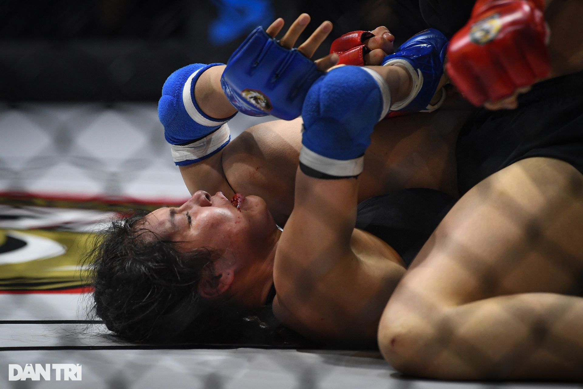 Bóng hồng Hungary hạ knock-out võ sĩ Việt Nam trong ngày khai màn MMA 2023 - 12 Bóng hồng Hungary hạ knock-out võ sĩ Việt Nam trong ngày khai màn MMA 2023 - 12