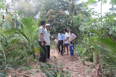 Cưa cây xoài, bị cây dừa đè chết!