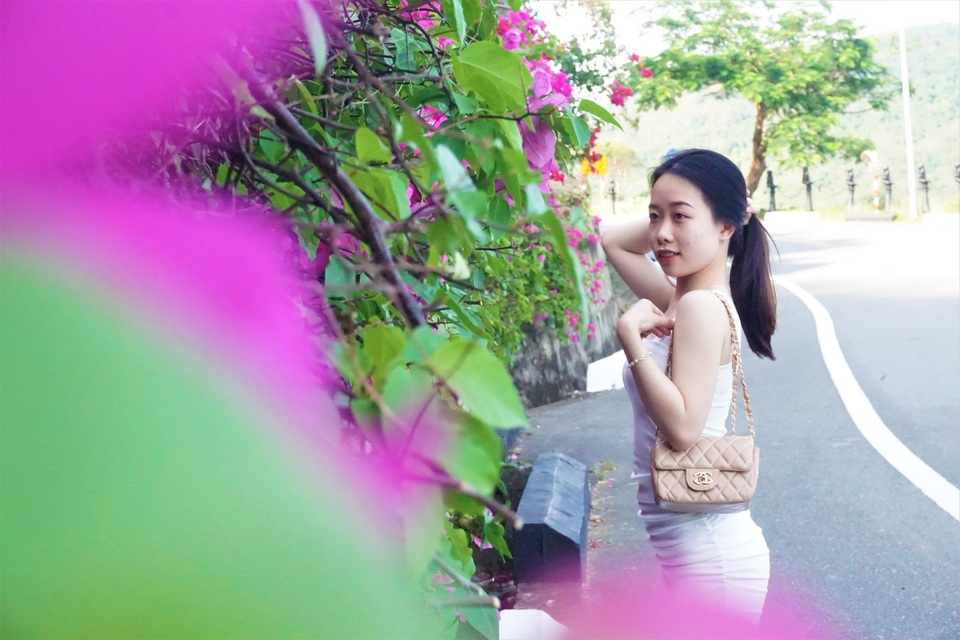 Phát sốt với con đường hoa giấy đẹp như tranh vẽ tại Đà Nẵng - 7