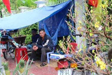 Chợ hoa "ế ẩm" vì hứng mưa giáp Tết Đinh Dậu