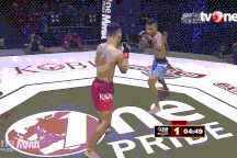 Đá xoay cực đẹp, võ sĩ MMA khiến đối thủ bất tỉnh sau 1 giây