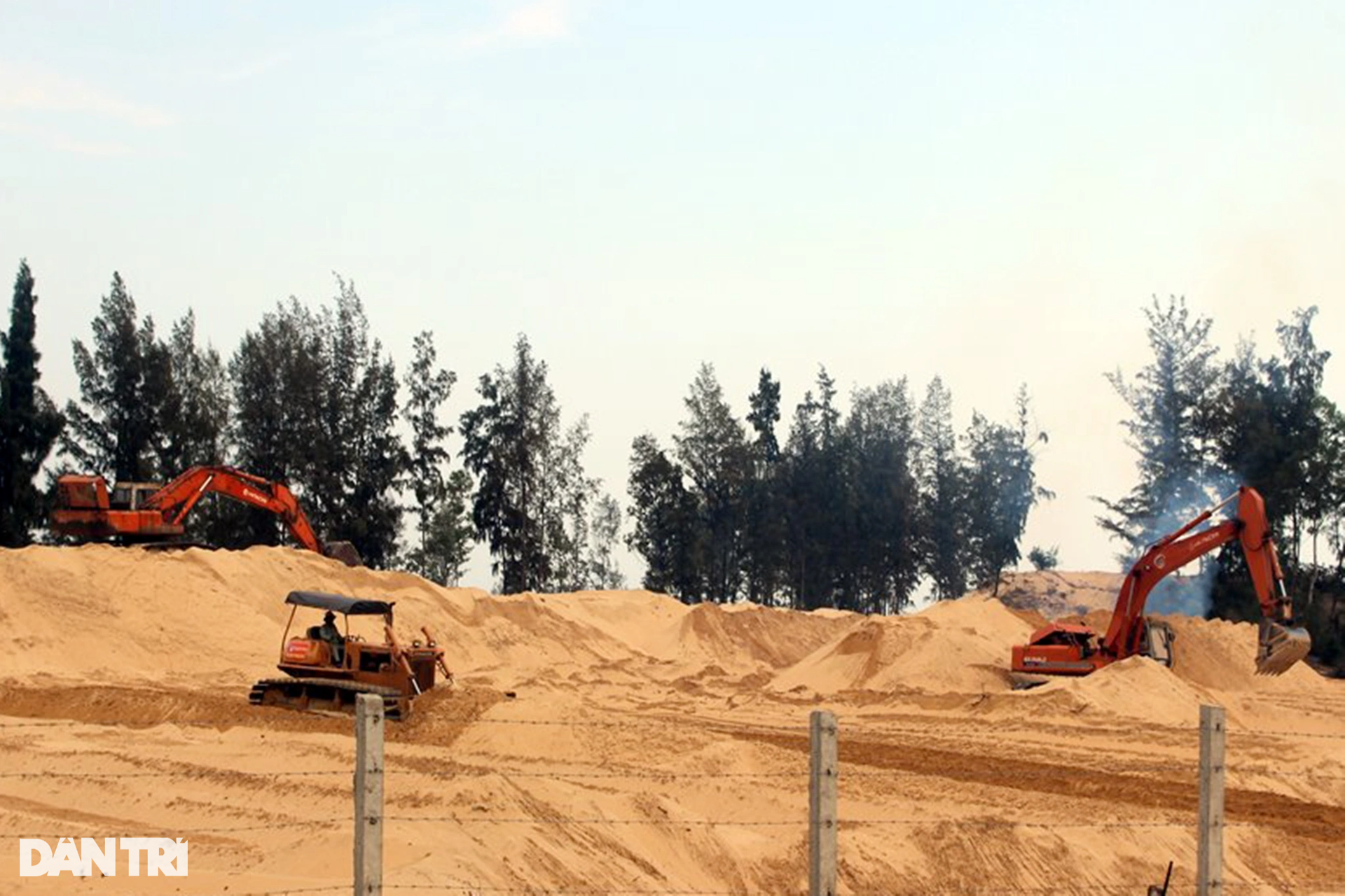 Dự án từng phá 40ha rừng phòng hộ ven biển để làm sân golf giờ ra sao? - 4 Dự án từng phá 40ha rừng phòng hộ ven biển để làm sân golf giờ ra sao? - 4