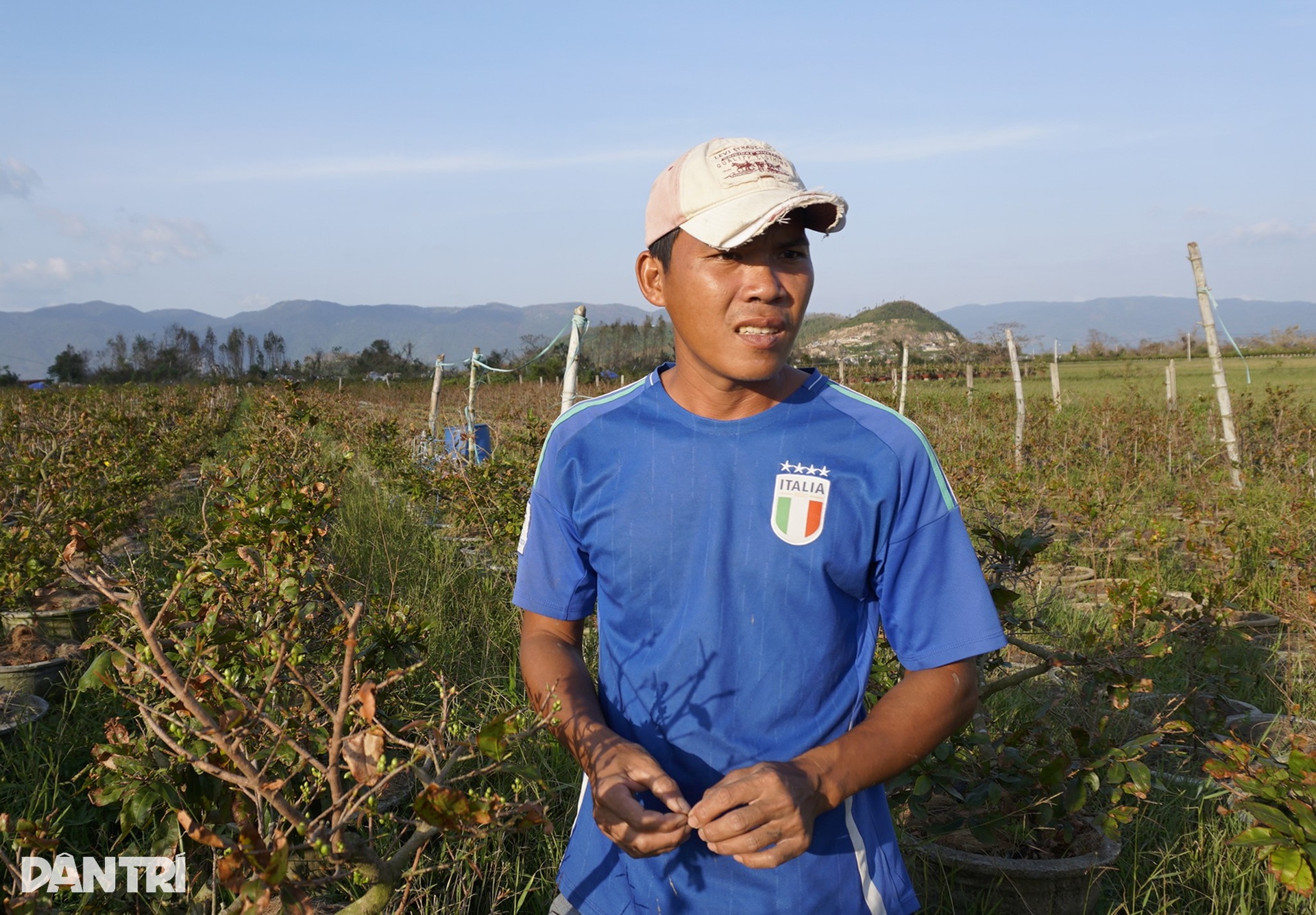Những ánh mắt buồn ở thủ phủ mai Tết lớn nhất miền Trung sau bão Kalmaegi - 3 Những ánh mắt buồn ở thủ phủ mai Tết lớn nhất miền Trung sau bão Kalmaegi - 3