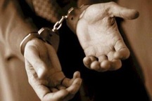 CEO bị bắt, Chứng khoán Trí Việt lên tiếng: Chỉ liên quan hành vi cá nhân